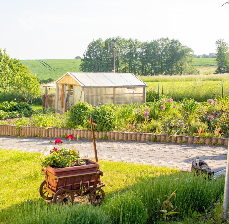 Ferienwohnung Am Kugelbaum Lunzenau Ngoại thất bức ảnh